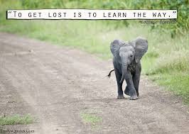 Quote